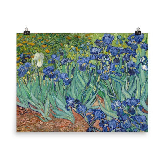 Vincent Van Gogh Irises 1889 / Art Print Etsy
