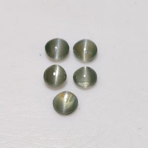 Puede incluir: Cinco piedras preciosas redondas de ojo de gato verde oliva. Cada piedra tiene una superficie pulida y lisa con una sola línea brillante y reflectante en el centro. Las piedras preciosas están dispuestas sobre una superficie blanca.