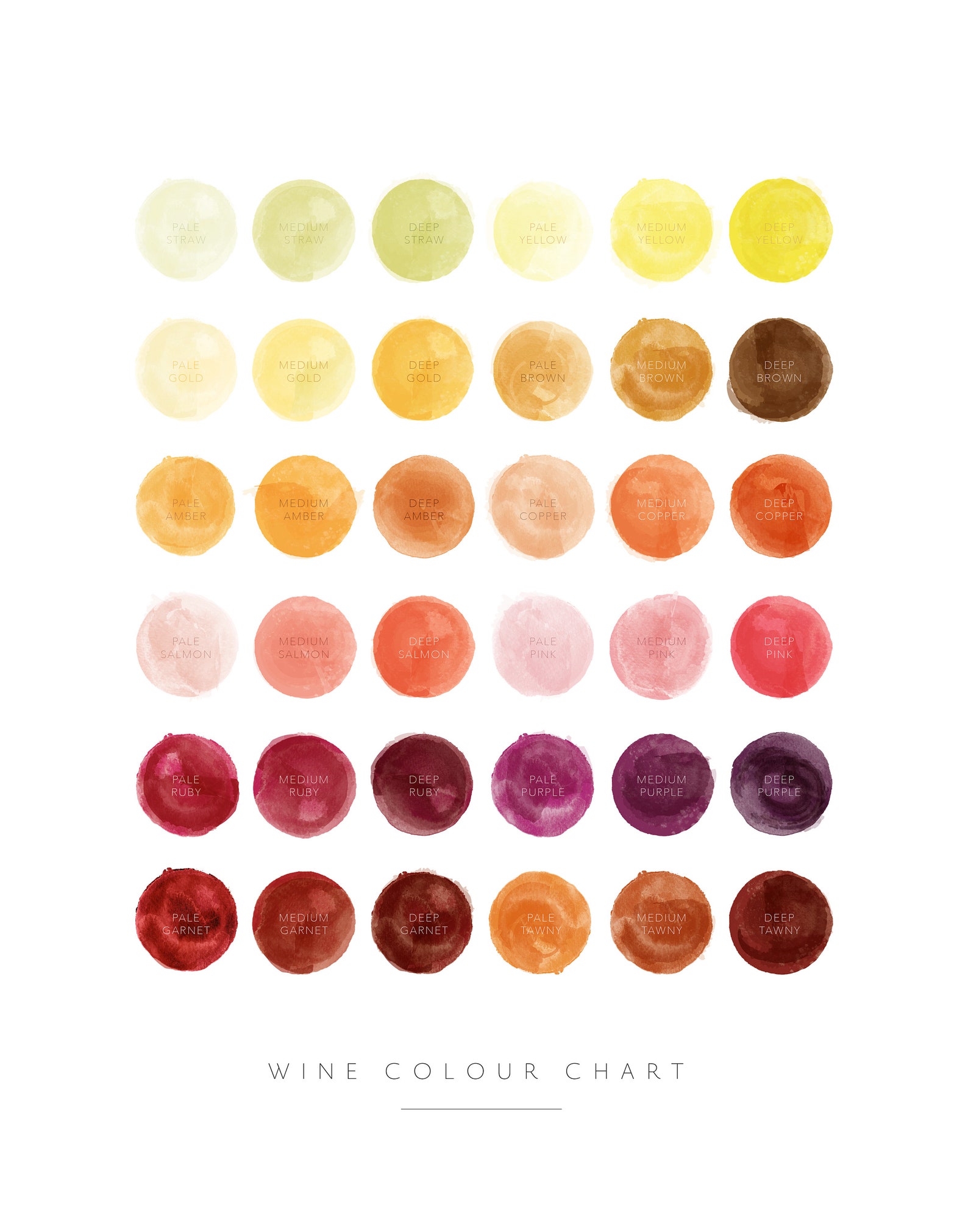Wine Colour Chart Wine Color Chart Watercolour Watercolor Etsy