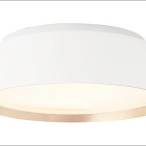 May include: White ceiling light fixture with a gold trim around the bottom edge.