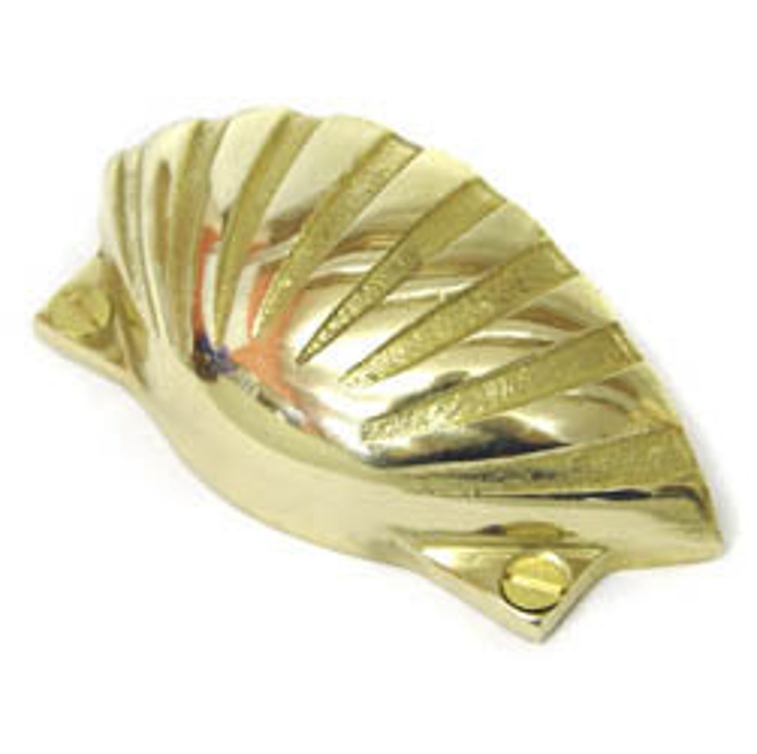 Brass Shell Drawer Pull Etsy UK