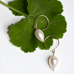 White Pear Shape Pearl Dangle Earrings in 14k Yellow Gold