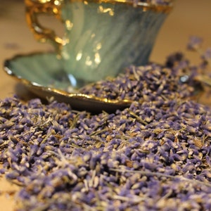 Lavender, English Lavender (Lavandula angustifolia) dry flowers, dry herb