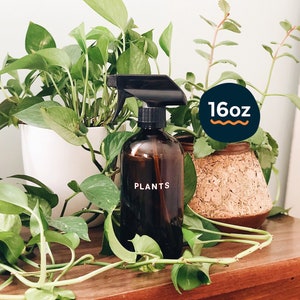 glass plant food spray bottle 16oz | amber glass spray bottle, modern home decor, plant mister, plant care, eco-friendly, zero waste gift