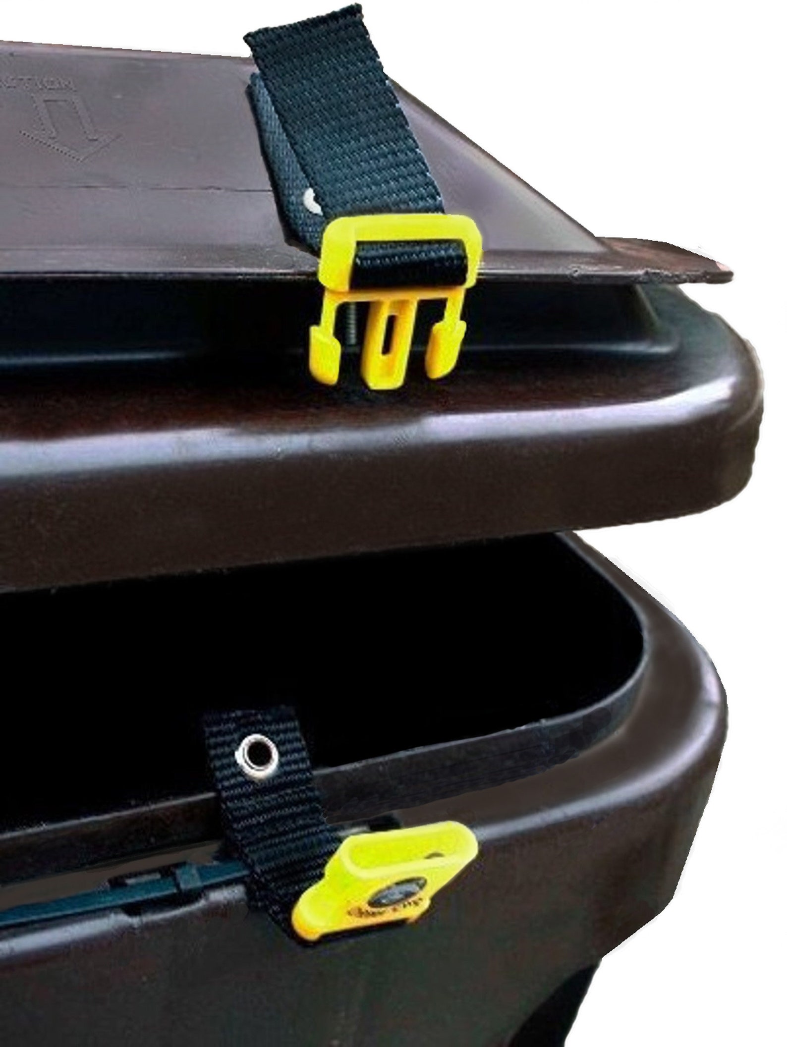 Raccoon Proof Your Trash Can Etsy