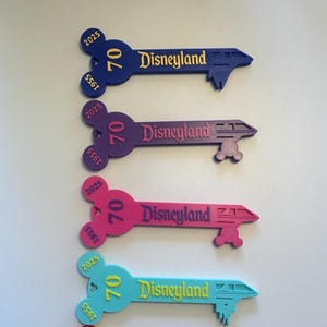 Disneyland 70th Anniversary Inspired Commentative Key