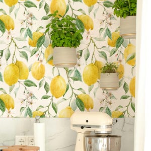 Vintage Lemon Tree Wallpaper: Tropical Hummingbird, Botanical Peel and Stick