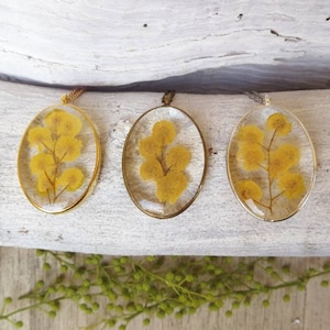 Puede incluir: Tres colgantes ovalados de oro con resina transparente y flores de mimosa amarillas prensadas. Los colgantes están sobre una superficie de madera blanca.