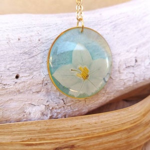 May include: A gold chain necklace with a round pendant featuring a white flower pressed inside clear resin. The flower has a yellow center and is set against a light blue background.