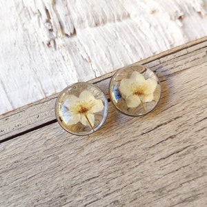 Könnte beinhalten: Zwei transparente Harzohrringe mit einer weißen Blume, die in jeden eingepresst ist. Die Ohrringe sind rund und haben eine glatte, polierte Oberfläche.