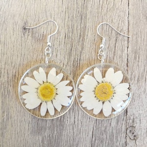 Earrings with pressed white daisies. In transparent resin, handmade. Open bronze clasp. Diameter 3.8 cm.