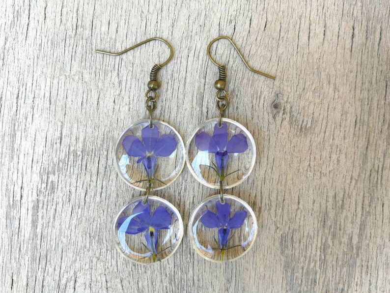 Closed bronze-colored open monachella handmade In transparent resin Earrings with pressed blue flowers Height 6 cm
