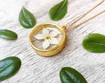 Transparent resin pendant with star jasmine flower. Diameter 2.7 cm, thickness 1 cm. Thin stainless steel chain, gold colour.