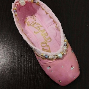 Glinda the Good Witch (Wizard of OZ decorated pointe shoe)