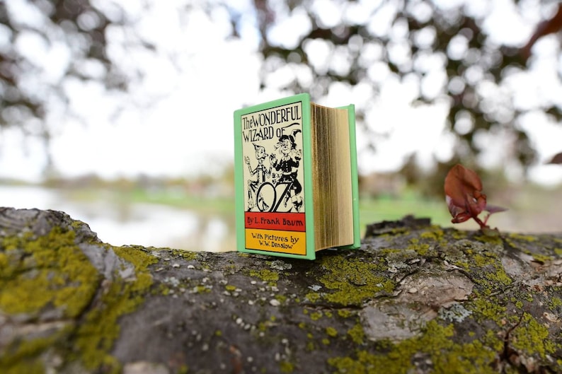 May include: A miniature, open book titled "The Wonderful Wizard of Oz" by L. Frank Baum. The book has a light green cover with illustrations and text in black, red, and yellow. The pages are gold-colored. The book rests on a mossy, textured branch.