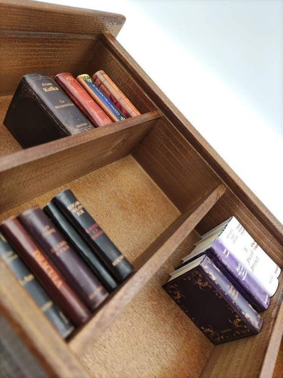 Acrylic dollhouse bookcase deals