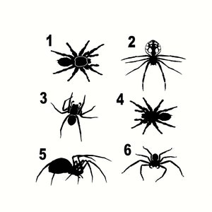 spider decals 6 to choose from each cut 3.5&quot; x 5&quot;  message for other sizes