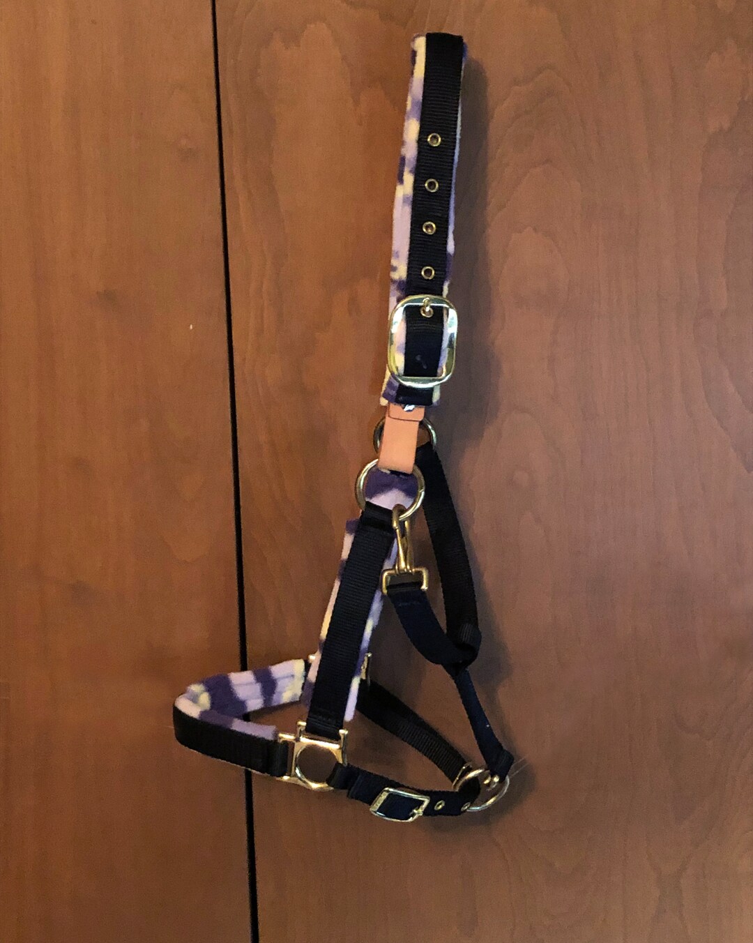 Nylon Breakaway Fleece Lined Halter Cob Size Black/purple Etsy