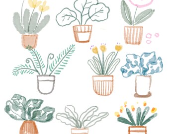 Puede incluir: Una ilustración de acuarela de diez plantas en maceta de varios estilos y colores. Las plantas están dibujadas en un estilo simple y caprichoso e incluyen helechos, suculentas y plantas con flores.