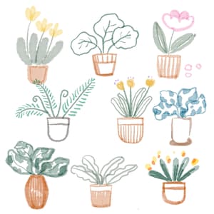 May include: A watercolor illustration of ten potted plants in various styles and colors. The plants are drawn in a simple, whimsical style and include ferns, succulents, and flowering plants.