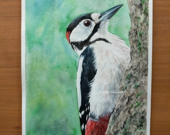 Original Watercolour Painting of a Great Spotted Woodpecker, unframed.