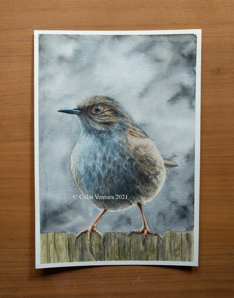 Original Watercolour Painting of a Dunnock, unframed. image 1