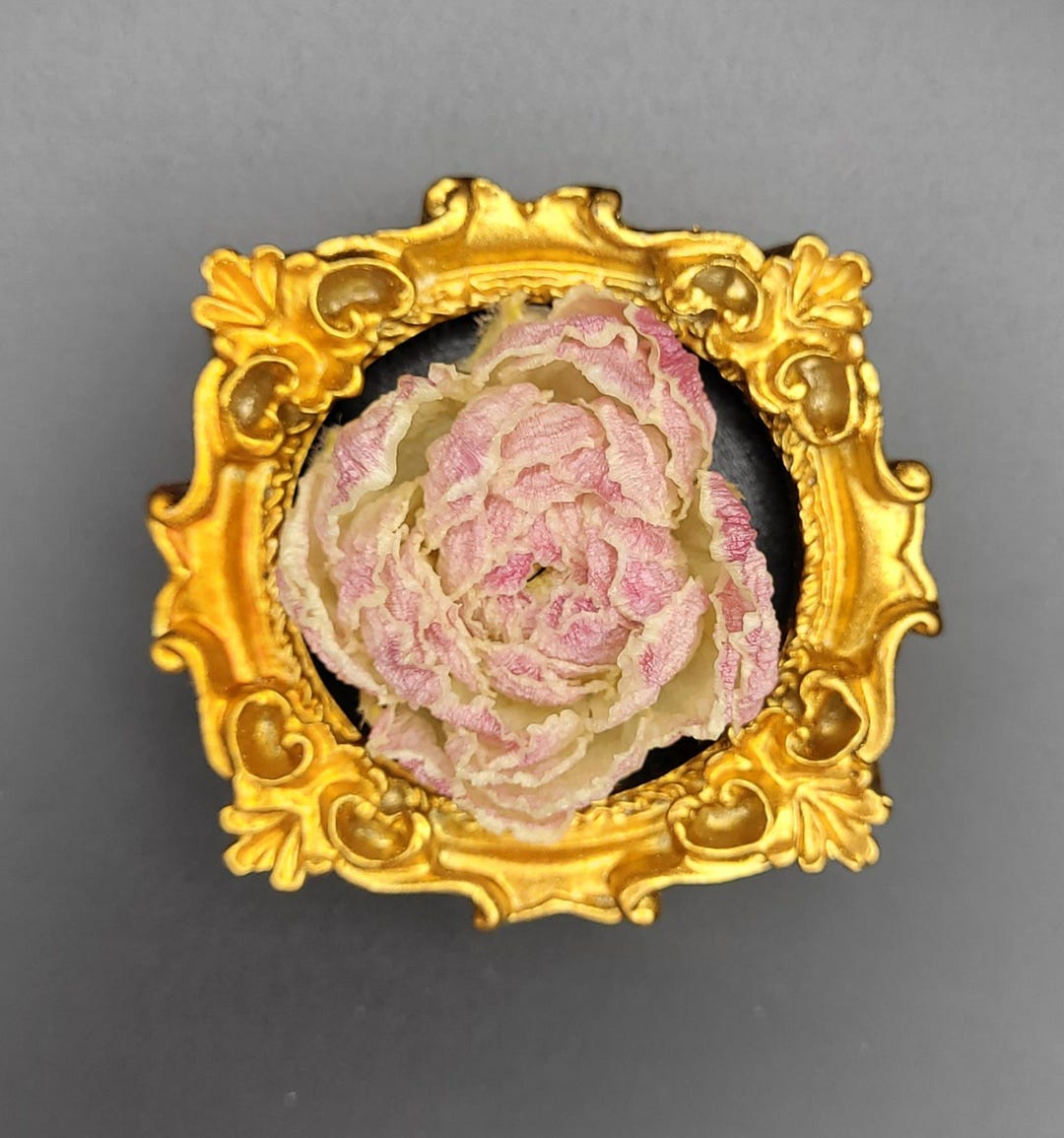 Preserved Ranunculus Framed Magnet Pink - Etsy