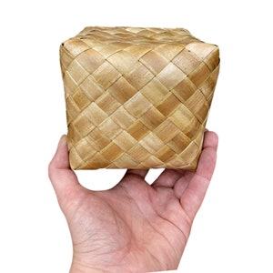 Monster Palm Cube - 4&quot; x 4&quot; - 2pc