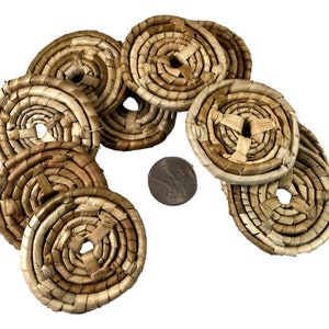 Palm Sand Dollars - 2&quot; - 24pc