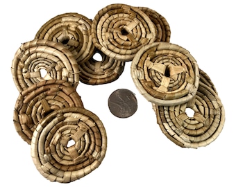 Palm Sand Dollars - 2" - 24pc