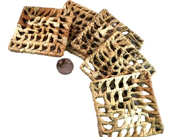 Palm Squarz - 3" - 12pc