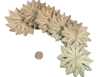 Intermediate Palm Flowers - Natural - 4" - 24pc