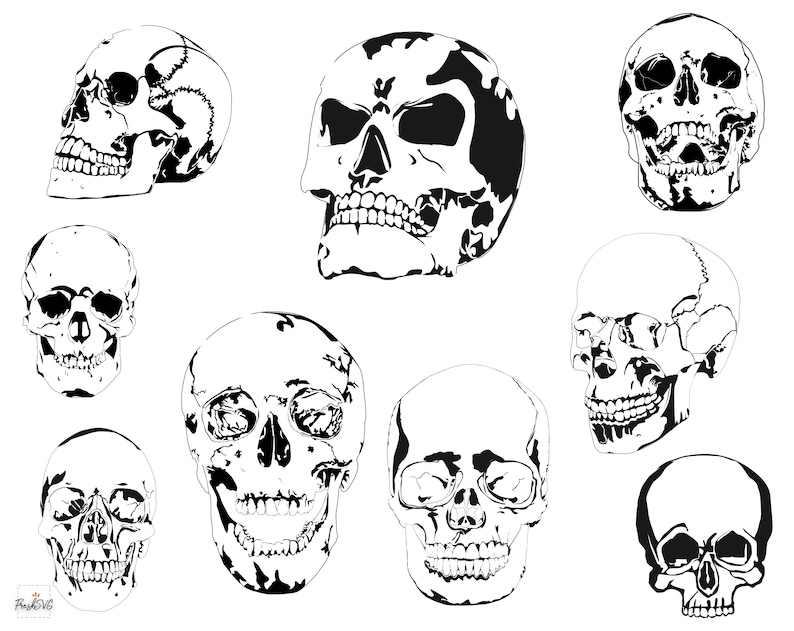 Skull SVG Skull Bundle SVG Skull Silhouette Skull Clipart - Etsy
