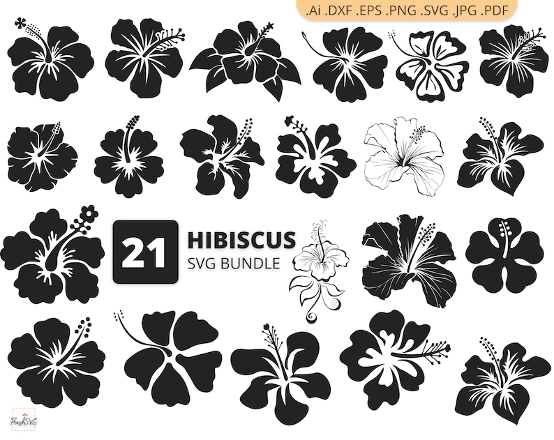 Download Hibiscus SVG Flower SVG Hibiscus Bundle SVG Hibiscus | Etsy
