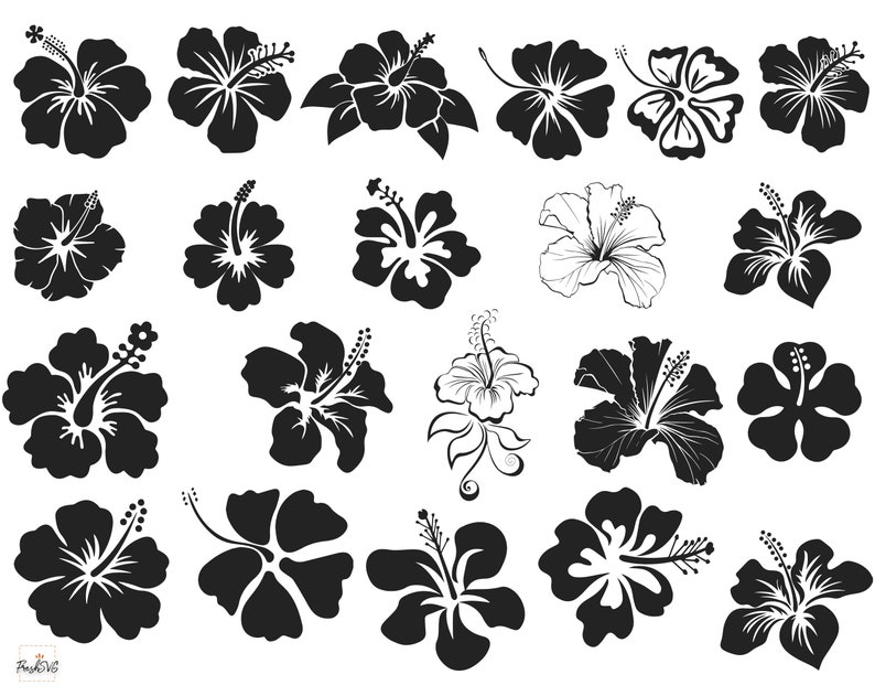 Download Hibiscus SVG Flower SVG Hibiscus Bundle SVG Hibiscus | Etsy