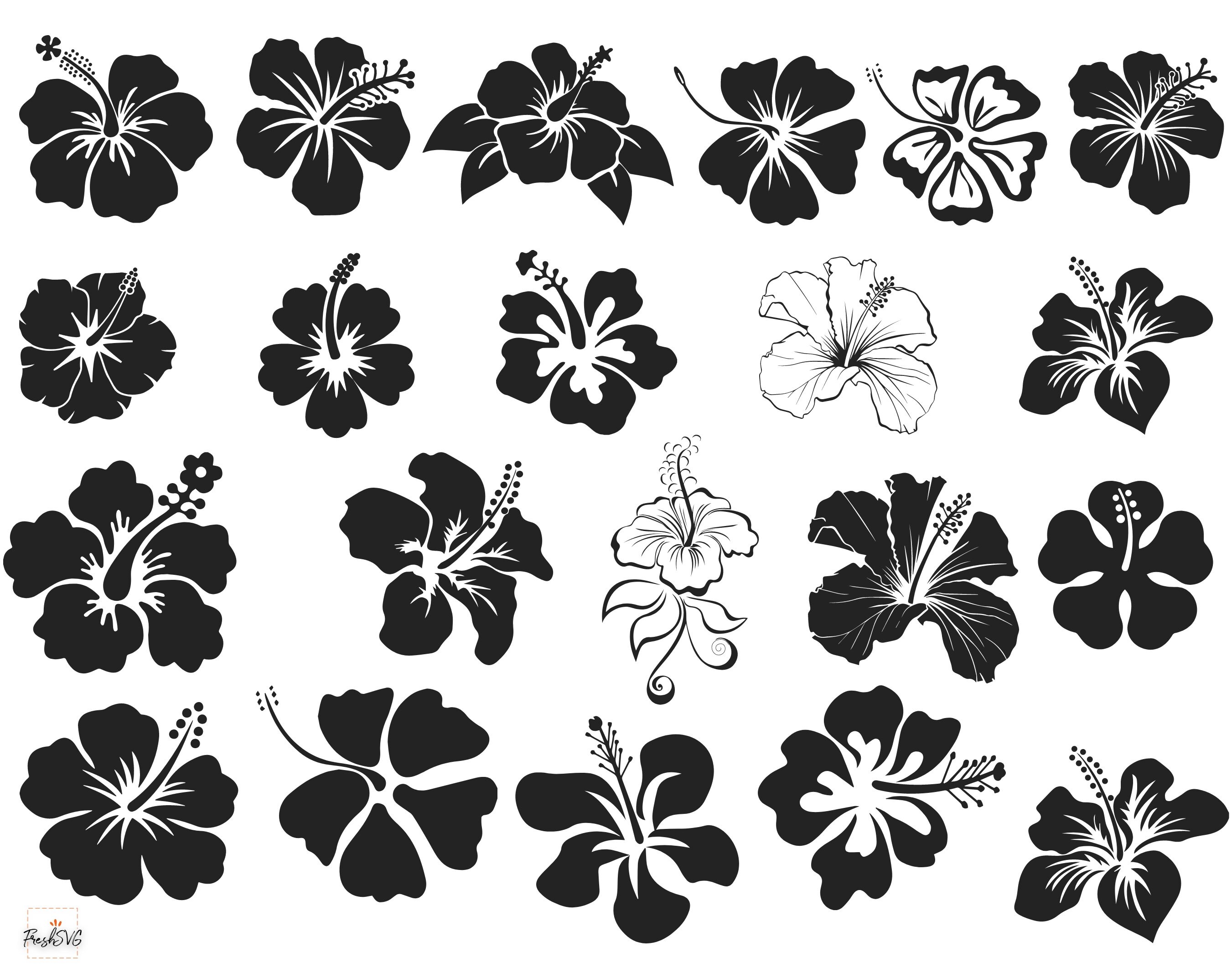 Hibiscus SVG Flower SVG Hibiscus Bundle SVG Hibiscus | Etsy