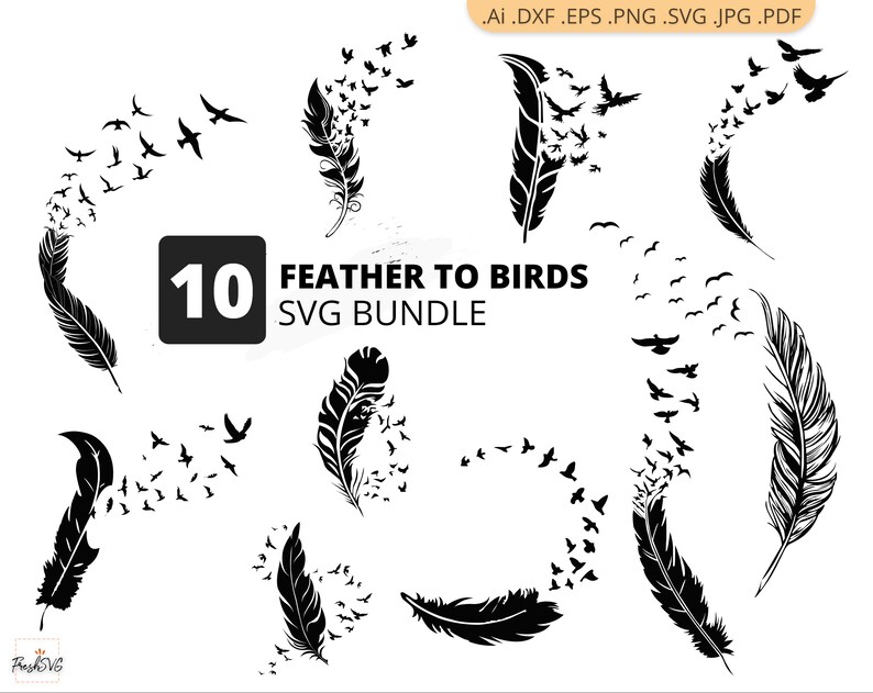 Download Feather To Birds SVG Feather To Birds Bundle SVG Feather ...
