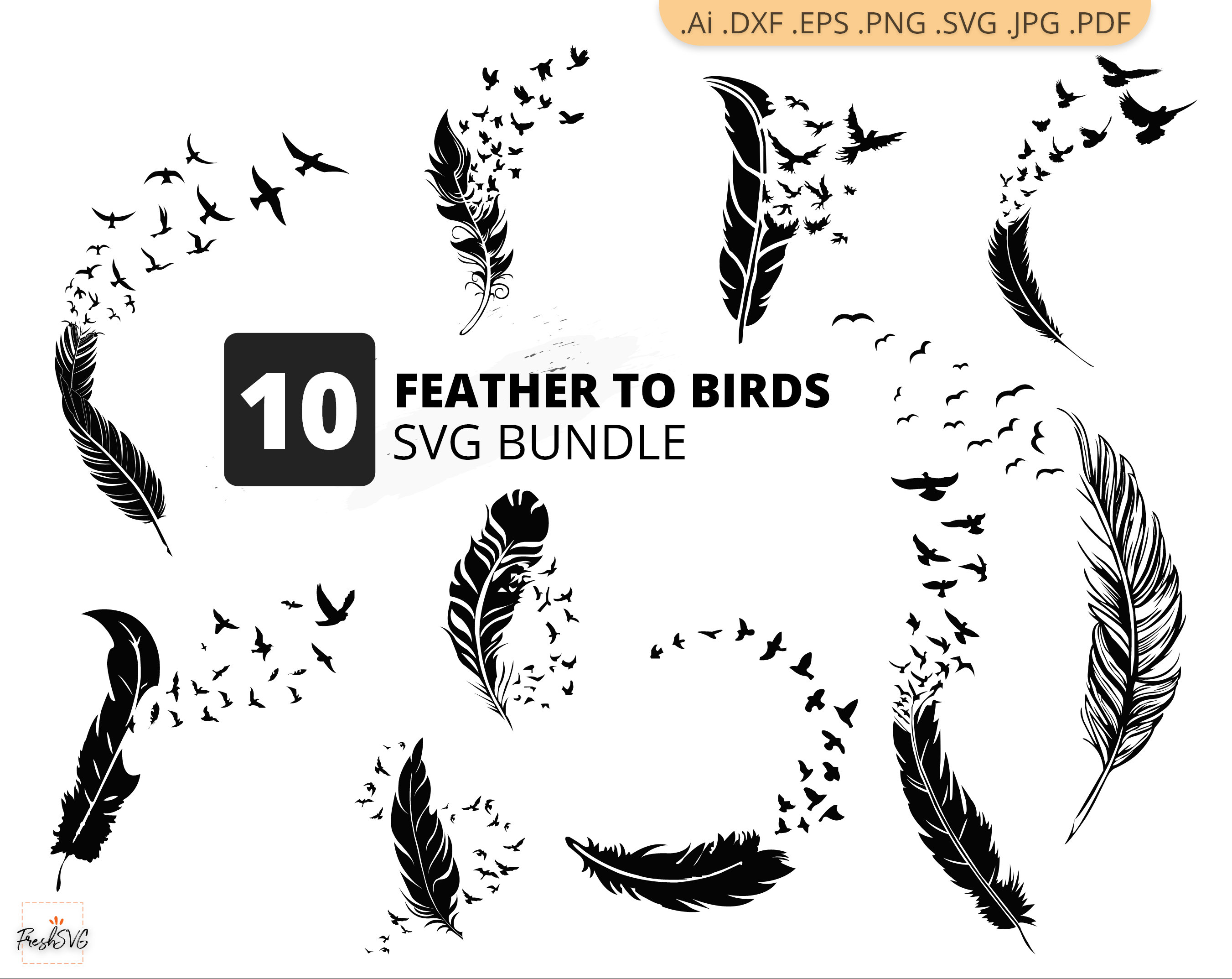 Feather To Birds SVG Feather To Birds Bundle SVG Feather ...