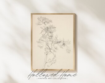 Tree Sketch / Vintage Botanical Art / Digital Art Download / Instant Art Print