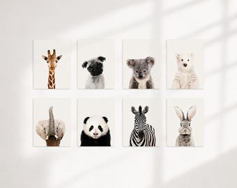 Baby Animals Nursery Wall Art Prints: Giraffe, Rabbit, Polar Bear, Panda, Custom Size, Unframed