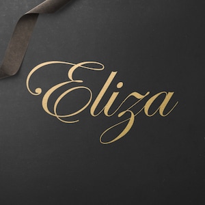 May include: A black background with a gold cursive script that reads "Eliza". A black ribbon is in the top left corner of the image. A black box with gold paper clips is in the bottom right corner.