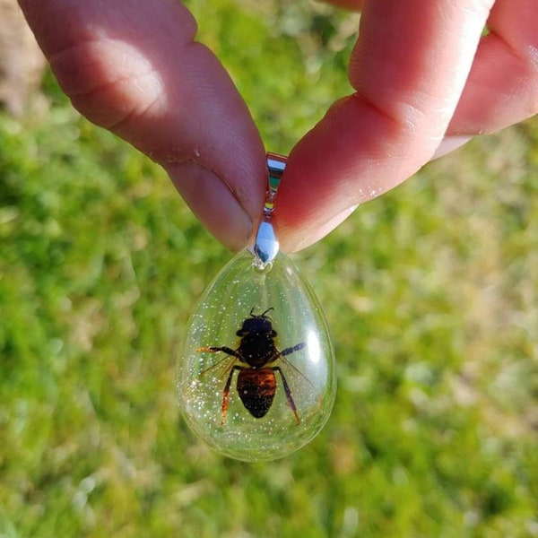 Honeybee Preserved in Resin Pendant