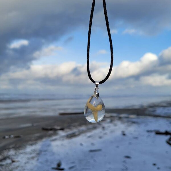 Shark Tooth Necklace - Etsy