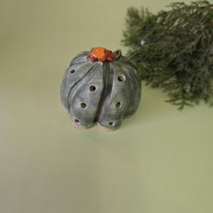 May include: A ceramic cactus-shaped candle holder in shades of gray and green, with an orange flower accent. The candle holder has several small holes and a textured surface. The design is reminiscent of a desert plant.