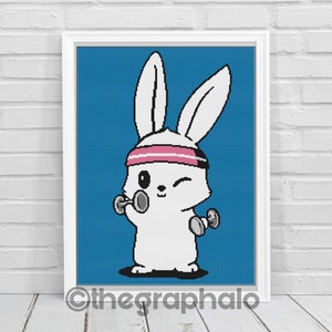 Op de afbeelding: Ingelijste print met een gepixeld wit konijn dat dumbbells optilt en knipoogt. Het konijn draagt een roze en witte zweetband tegen een blauwe achtergrond. De print zit in een witte lijst. De tekst "@thegraphalo" staat onderaan.
