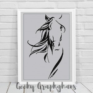 Grazioso cavallo all&#39;uncinetto modello Graphghan