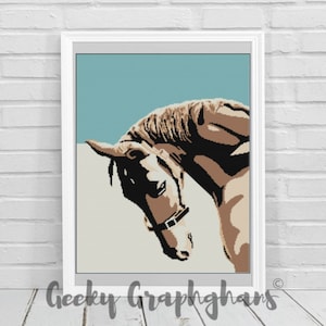 Modello Graphghan all&#39;uncinetto a cavallo