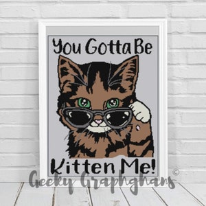 You Gotta Be Kitten Me Crochet Graphghan Pattern