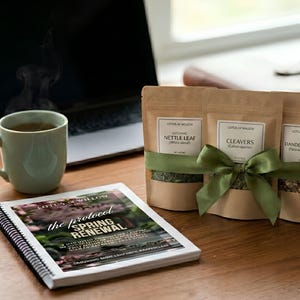 May include: A still-life image featuring a mug of tea, a laptop, and three brown paper pouches tied with a green ribbon. The pouches are labeled with the names of herbs. A spiral-bound book titled "the protocol SPRING RENEWAL" is also present.