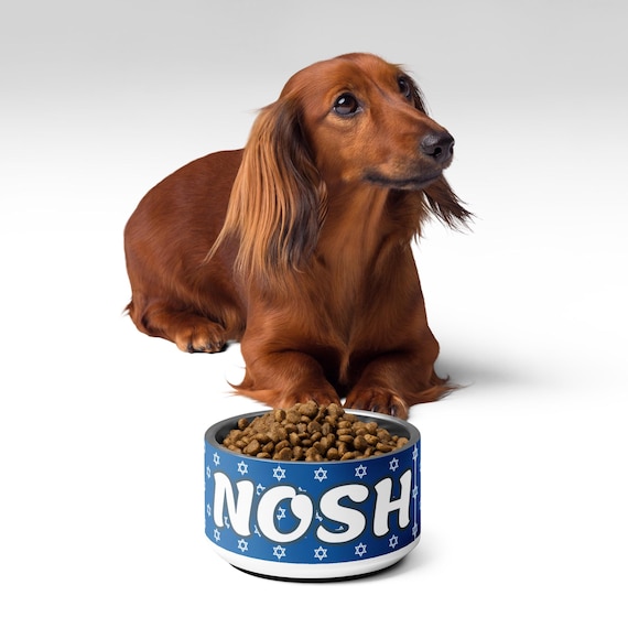 Jewish Dog Food Bowl